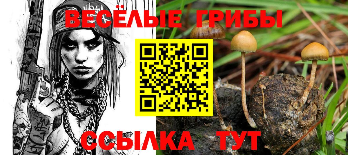 Галлюциногенные грибы Psilocybine cubensis  Галлюциногенные грибы мухоморы  цена   Вход с VPN  Нижний Тагил 